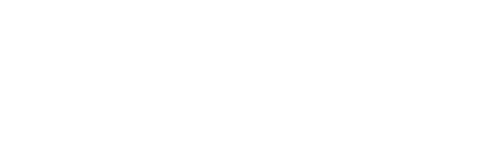 pursueitdaily.com
